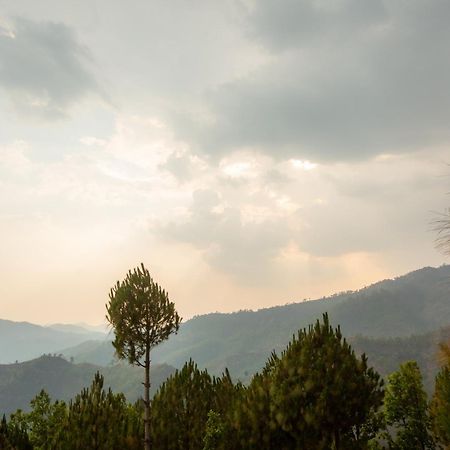 Blue Pine Orchards - Villas Лансдаун Экстерьер фото